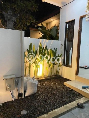 Disewakan Rumah Murah di Renon Denpasar Punya 3 Kamar Tidur Disewakan Rumah Murah di Renon Denpasar Punya 3 Kamar Tidur
