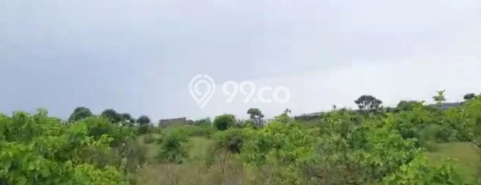 Tanah Strategis Dijual di Malingping Lebak 5000m2 Tanah Strategis Dijual di Malingping Lebak 5000m2
