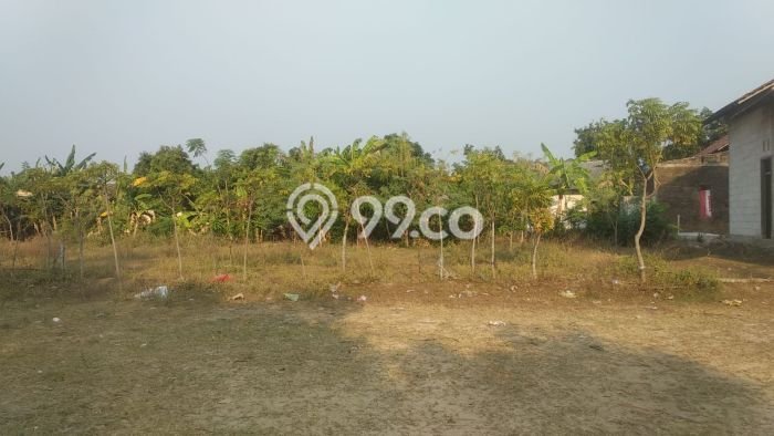 Jarang Ada! Tanah di Mlonggo Punya Luas 1267m2 SHM Jarang Ada! Tanah di Mlonggo Punya Luas 1267m2 SHM
