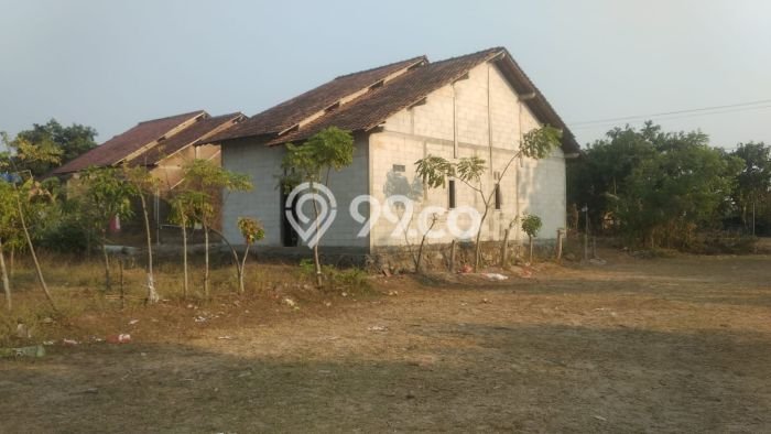 Jarang Ada! Tanah di Mlonggo Punya Luas 1267m2 SHM Jarang Ada! Tanah di Mlonggo Punya Luas 1267m2 SHM