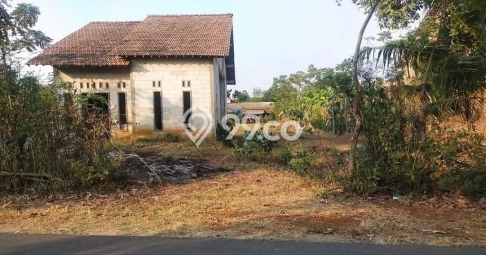 Jarang Ada! Tanah di Mlonggo Punya Luas 1267m2 SHM Jarang Ada! Tanah di Mlonggo Punya Luas 1267m2 SHM