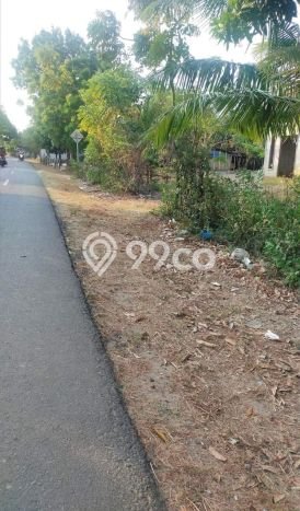 Jarang Ada! Tanah di Mlonggo Punya Luas 1267m2 SHM Jarang Ada! Tanah di Mlonggo Punya Luas 1267m2 SHM