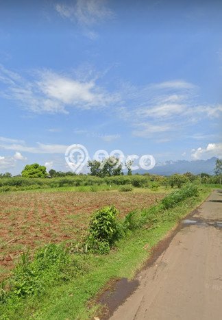 Tanah Kawasan Margoyoso, Luas 4330m², Lokasi Premium, Ideal untuk Perumahan Tanah Kawasan Margoyoso, Luas 4330m², Lokasi Premium, Ideal untuk Perumahan