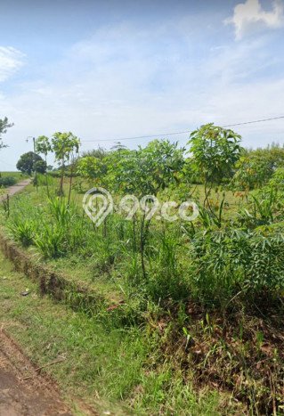 Tanah Kawasan Margoyoso, Luas 4330m², Lokasi Premium, Ideal untuk Perumahan Tanah Kawasan Margoyoso, Luas 4330m², Lokasi Premium, Ideal untuk Perumahan