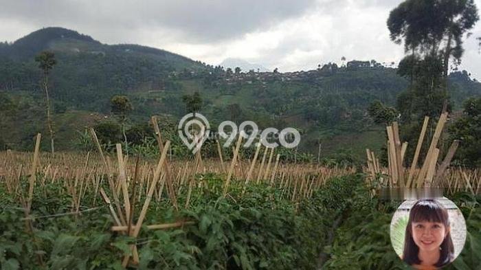 Lahan untuk Dijual Lokasi Coblong, Bandung Luas 40000m2 SHM Lahan untuk Dijual Lokasi Coblong, Bandung Luas 40000m2 SHM