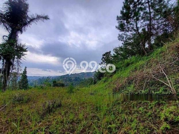 Tanah di Dago, Luas 1600m2m², Lokasi Strategis, Kawasan Nyaman, Bebas Banjir Tanah di Dago, Luas 1600m2m², Lokasi Strategis, Kawasan Nyaman, Bebas Banjir