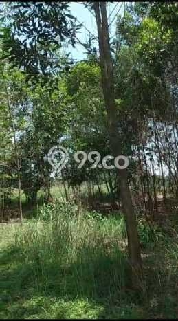 Untuk Dijual Tanah di Tenjo Bogor Luas 7200m2 SHM Untuk Dijual Tanah di Tenjo Bogor Luas 7200m2 SHM