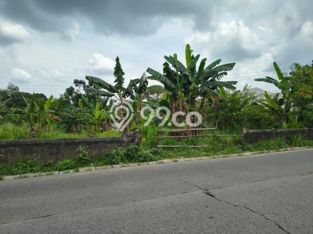 Lahan Kosong Dijual di Tangerang Selatan dengan Area 1480m2 Lahan Kosong Dijual di Tangerang Selatan dengan Area 1480m2