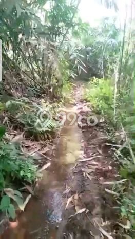 Tanah Kavling di Cibadak Dijual dengan Luas 95000m2 Tanah Kavling di Cibadak Dijual dengan Luas 95000m2