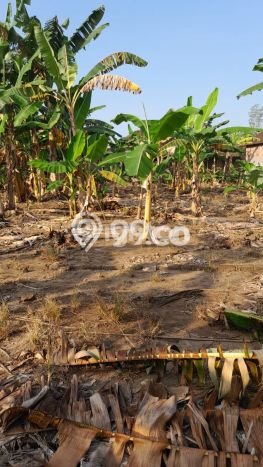 Tanah Dijual Lokasi Sukoharjo Sukoharjo SHM Tanah Dijual Lokasi Sukoharjo Sukoharjo SHM