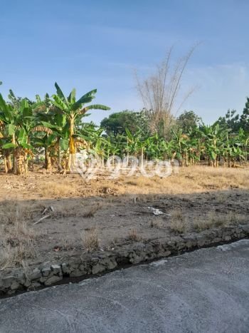 Tanah Lokasi Potensial Kawasan Sukoharjo, Luas 112m², Akses ke Fasilitas, Lingkungan Nyaman Tanah Lokasi Potensial Kawasan Sukoharjo, Luas 112m², Akses ke Fasilitas, Lingkungan Nyaman