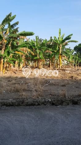 Tanah Lokasi Potensial Kawasan Sukoharjo, Luas 112m², Akses ke Fasilitas, Lingkungan Nyaman Tanah Lokasi Potensial Kawasan Sukoharjo, Luas 112m², Akses ke Fasilitas, Lingkungan Nyaman