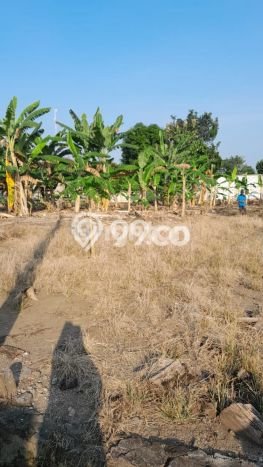 Tanah Area Berkembang di Sukoharjo, Luas 117m², Dekat ke Fasilitas, Lingkungan Nyaman Tanah Area Berkembang di Sukoharjo, Luas 117m², Dekat ke Fasilitas, Lingkungan Nyaman