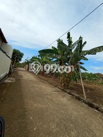 Tanah Area Berkembang di Sukoharjo, Luas 117m², Dekat ke Fasilitas, Lingkungan Nyaman Tanah Area Berkembang di Sukoharjo, Luas 117m², Dekat ke Fasilitas, Lingkungan Nyaman