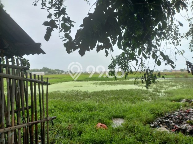 Kavling Tanah untuk Dijual di Cikarang, Bekasi, Luas 5260m2 Kavling Tanah untuk Dijual di Cikarang, Bekasi, Luas 5260m2