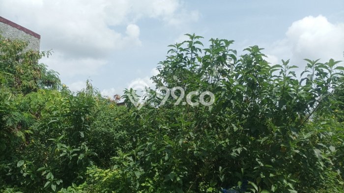 Lahan Dijual Lokasi Cibitung, Bekasi dengan Luas Tanah 268m2 dan Status SHM Lahan Dijual Lokasi Cibitung, Bekasi dengan Luas Tanah 268m2 dan Status SHM