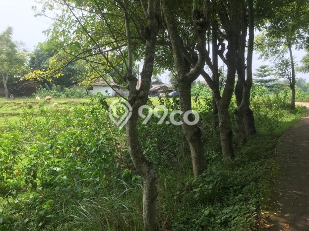 Tanah Kavling Dijual di Cikarang, Bekasi dengan Luas Tanah 3722m2 Tanah Kavling Dijual di Cikarang, Bekasi dengan Luas Tanah 3722m2