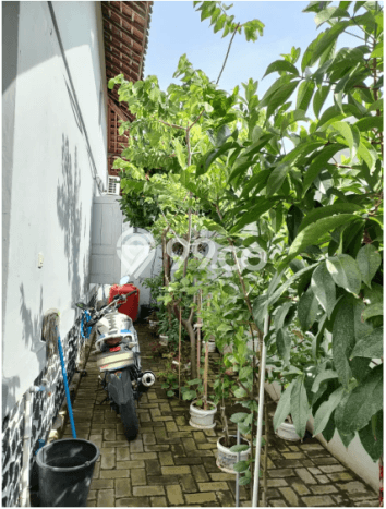 HARGA SPECIAL! Rumah Nyaman di Balapulang, Tegal, Luas 461m2m² Bangunan 250m2m² Bisa Nego! HARGA SPECIAL! Rumah Nyaman di Balapulang, Tegal, Luas 461m2m² Bangunan 250m2m² Bisa Nego!