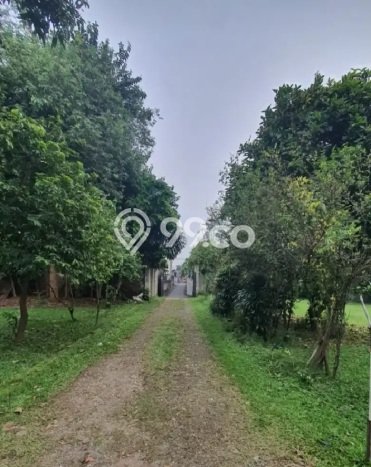 Dijual Tanah 430m2 di Bintaro, Jakarta Selatan Dijual Tanah 430m2 di Bintaro, Jakarta Selatan