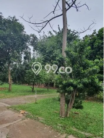 Dijual Tanah 430m2 di Bintaro, Jakarta Selatan Dijual Tanah 430m2 di Bintaro, Jakarta Selatan