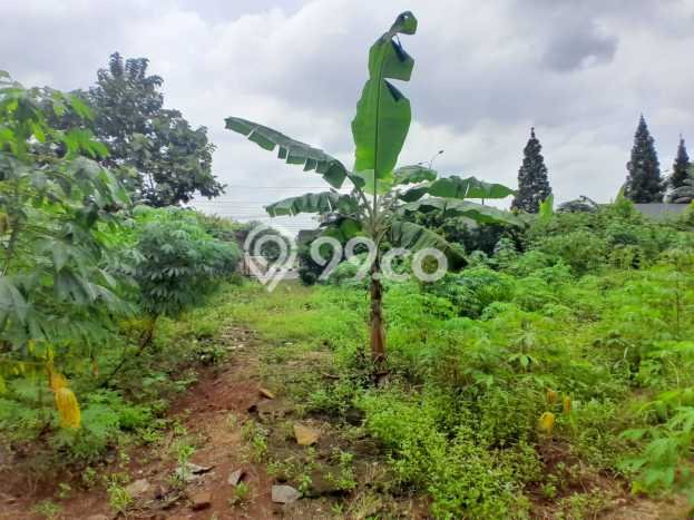 Tanah Kavling untuk Dijual di Cikeas Bogor 4492m2 Tanah Kavling untuk Dijual di Cikeas Bogor 4492m2