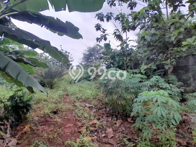 Tanah Kavling untuk Dijual di Cikeas Bogor 4492m2 Tanah Kavling untuk Dijual di Cikeas Bogor 4492m2