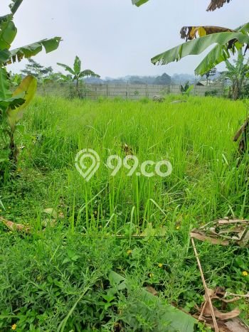 Tanah Kavling di Caringin Dijual dengan Luas 700m2 Tanah Kavling di Caringin Dijual dengan Luas 700m2