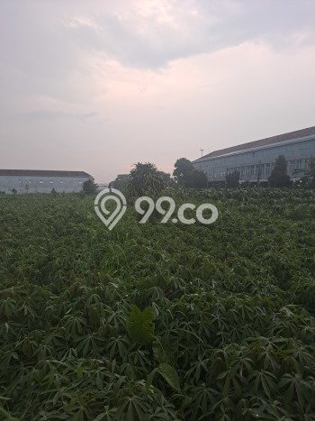 Jarang Ada! Tanah di Kemang Punya Luas 40000m2 SHM Jarang Ada! Tanah di Kemang Punya Luas 40000m2 SHM