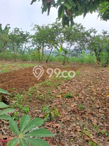 Lahan Investasi Lokasi Caringin Bogor AJB Lahan Investasi Lokasi Caringin Bogor AJB