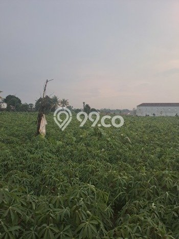 Jarang Ada! Tanah di Kemang Punya Luas 40000m2 SHM Jarang Ada! Tanah di Kemang Punya Luas 40000m2 SHM