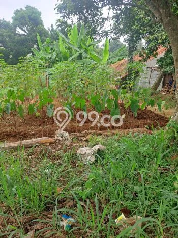 Tanah di Ciseeng, Bogor Luas 640m2 Dijual Segera Tanah di Ciseeng, Bogor Luas 640m2 Dijual Segera