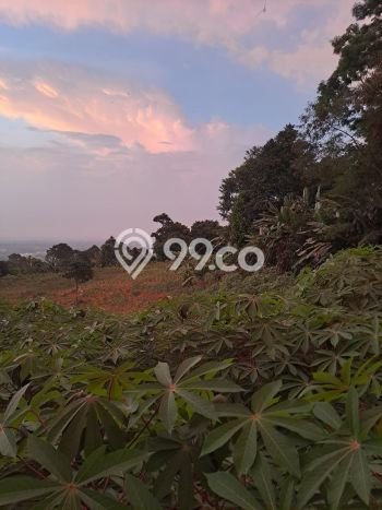 Tanah Dijual di Bogor Seluas 10000m2 Strategis Tanah Dijual di Bogor Seluas 10000m2 Strategis