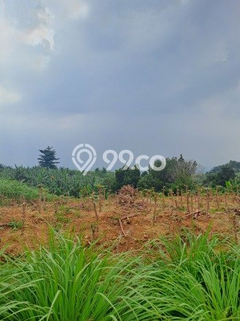 Jarang Ada! Tanah di Citeureup Punya Luas 1.05e+06m2 - Jarang Ada! Tanah di Citeureup Punya Luas 1.05e+06m2 -