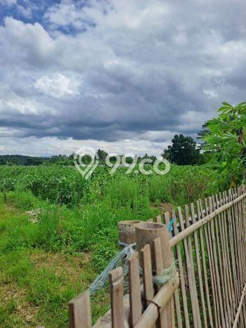 Kavling Tanah Dijual di Ranca Bungur, Bogor, Luas 20000m2 Area Strategis Kavling Tanah Dijual di Ranca Bungur, Bogor, Luas 20000m2 Area Strategis