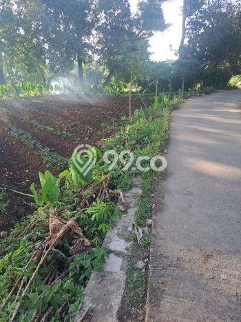 Lahan Investasi Lokasi Ranca Bungur Bogor SHM Lahan Investasi Lokasi Ranca Bungur Bogor SHM