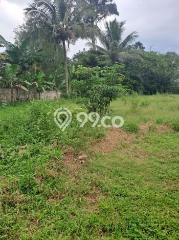 Tanah Area Prospektif Kawasan Rumpin, Luas 15000m2m², Akses ke Pusat Kota, Lingkungan Asri Tanah Area Prospektif Kawasan Rumpin, Luas 15000m2m², Akses ke Pusat Kota, Lingkungan Asri