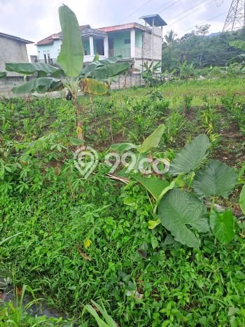 Untuk Dijual Tanah di Rumpin Bogor Luas 1000m2 SHM Untuk Dijual Tanah di Rumpin Bogor Luas 1000m2 SHM