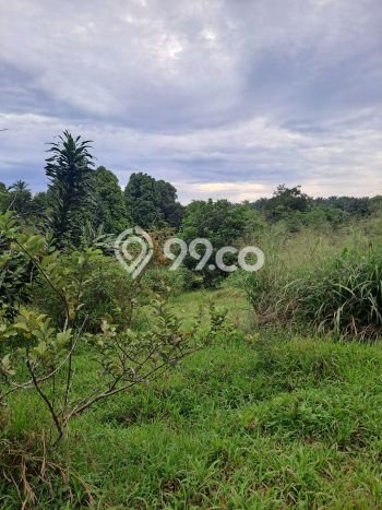 Lahan Kosong Dijual di Bogor dengan Area 8000m2 Lahan Kosong Dijual di Bogor dengan Area 8000m2