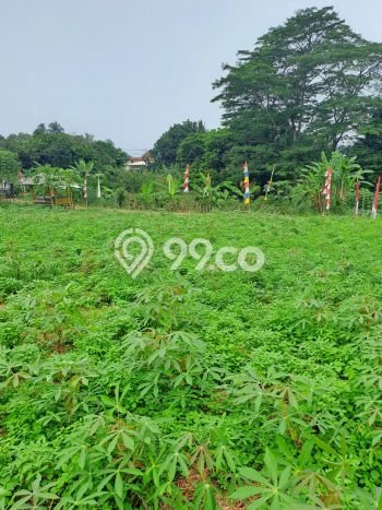 Lahan Investasi Lokasi Kemang Bogor AJB Lahan Investasi Lokasi Kemang Bogor AJB