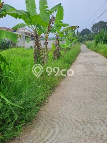 Tanah Kavling di Caringin Dijual dengan Luas 700m2 Tanah Kavling di Caringin Dijual dengan Luas 700m2