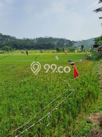 Kavling Tanah Dijual di Sukamakmur, Bogor, Luas 10000m2 Area Strategis Kavling Tanah Dijual di Sukamakmur, Bogor, Luas 10000m2 Area Strategis