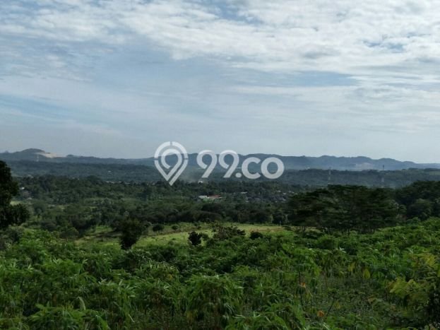 Tanah untuk Dijual di Citeureup Bogor Luas 20000m2 Tanah untuk Dijual di Citeureup Bogor Luas 20000m2