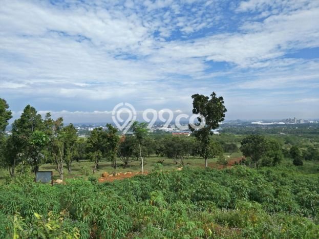 Tanah untuk Dijual di Citeureup Bogor Luas 20000m2 Tanah untuk Dijual di Citeureup Bogor Luas 20000m2