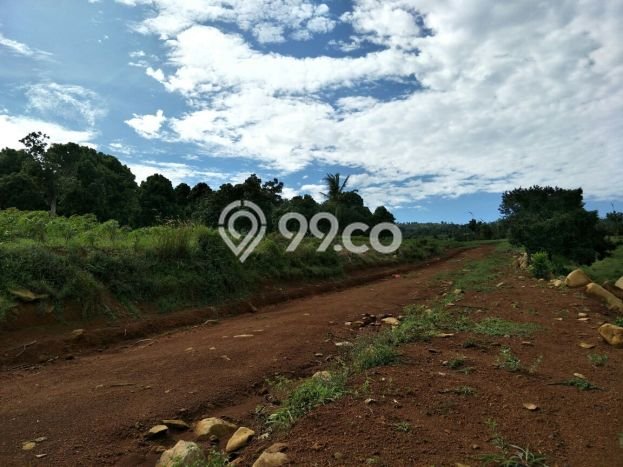 Tanah untuk Dijual di Citeureup Bogor Luas 20000m2 Tanah untuk Dijual di Citeureup Bogor Luas 20000m2