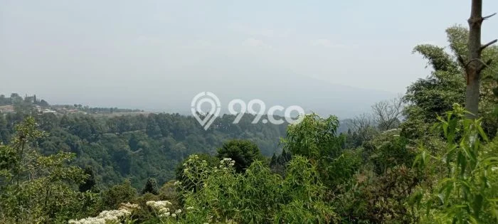 Tanah Komersial Dijual di Caringin Bogor 1700m2 Tanah Komersial Dijual di Caringin Bogor 1700m2