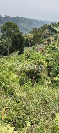 Tanah Komersial Dijual di Caringin Bogor 1700m2 Tanah Komersial Dijual di Caringin Bogor 1700m2
