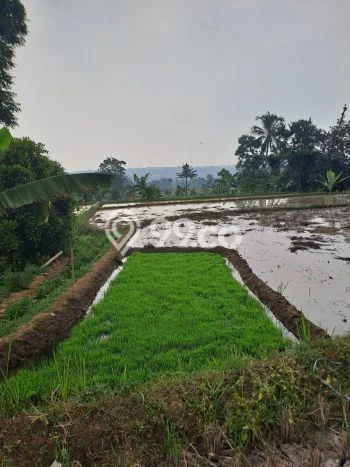 Jarang Ada! Tanah di Ciawi Punya Luas 5000m2 - Jarang Ada! Tanah di Ciawi Punya Luas 5000m2 -