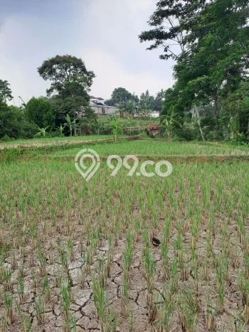 Jarang Ada! Tanah di Ciawi Punya Luas 5000m2 - Jarang Ada! Tanah di Ciawi Punya Luas 5000m2 -