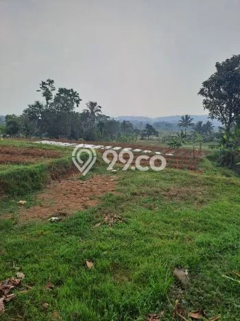Jarang Ada! Tanah di Ciawi Punya Luas 5000m2 - Jarang Ada! Tanah di Ciawi Punya Luas 5000m2 -