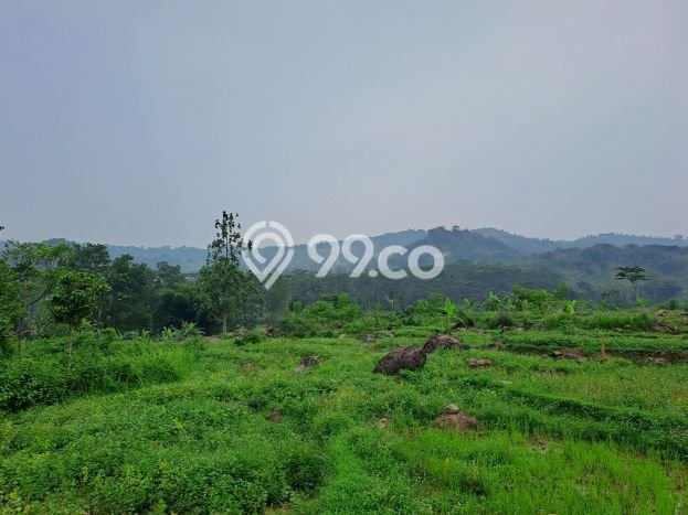 Rumah Eksklusif Dijual LT 1000m2 di Cisarua, Bogor Rumah Eksklusif Dijual LT 1000m2 di Cisarua, Bogor